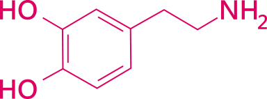 多巴胺化學結構